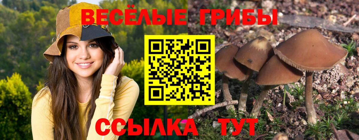Галлюциногенные грибы Cubensis Вольск