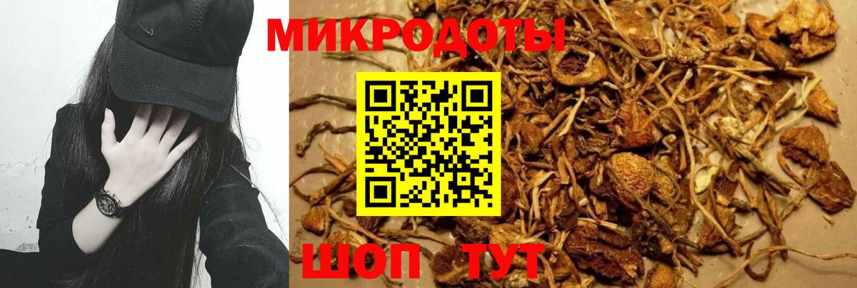 МЕФ Вольск